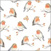 Ambiente Servetten Robin Family 25cm