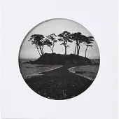 Steidl Interart A DISTANT SHORE