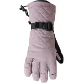Regatta Dames/Dames Summit Waterdichte Skihandschoenen (Heide)