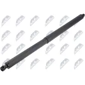 NTY AE-CH-101 Gasveer achterklep