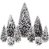 Luville Wintergroene boom | Assorti | 9 stuks