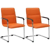 CLP Seattle Set van 2 bezoekersstoelen - Met armleuning - Eetkamerstoel - Kunstleer/oranje