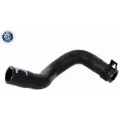 VAICO Radiateurslang Green Mobility Parts V10-9008