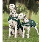Waldhausen Regendeken Voor Honden - Bijna Uitverkocht!