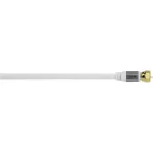 Avinity 00127203 coax-kabel 5 m Wit