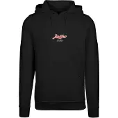 Mister tee Sweatshirt 'Eagle Paradise' cyaan blauw / rood / zwart / wit