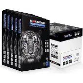 Iso Trade Papier xero A4 80g karton - 5 Ryz