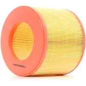 RIDEX 8A0138 Luchtfilter