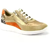 Solidus 56287 halea 287