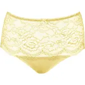 SugarShape String citroen