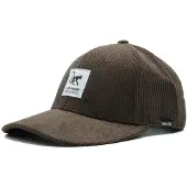 Surf Monkey Sportpet bruin