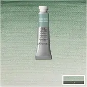 Winsor & Newton W&N Professional Aquarelverf 5ml | Terre Verte
