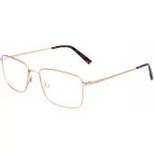 FLEXSON Flexon FLEXON H6081 Matte taupe 58/18/150 MAN Brilmonturen