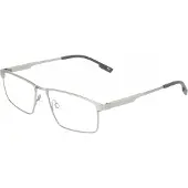 FLEXSON Flexon FLEXON E1164 Satin silver 54/15/145 MAN Brilmonturen