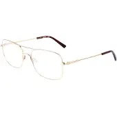 FLEXSON Flexon FLEXON H6060 N Shiny gold 56/19/145 MAN Brilmonturen