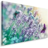 Karo-art Schilderij - Lavendel en Vlinders , Wanddecoratie , Premium print