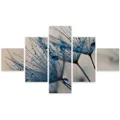 Karo-art Schilderij - Paardenbloem met waterdruppels, 5luik, premium print