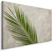 Karo-art Schilderij - Palm Blad op een betonnen achtergrond, 5 maten