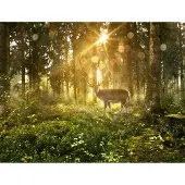 Karo-art Fotobehang Herten In Het Bos In De Ochtend - Vliesbehang - 450 x 300 cm