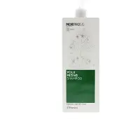 Framesi Morphosis Volumizing Shampoo 1000ml