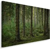 Karo-art Schilderij - Het Bos, Groen, 5 maten, Premium Print