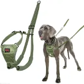 Company of animals No Pull Harness