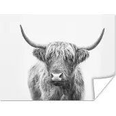 PosterMonkey Poster Schotse hooglander - Dieren - Hoorns - Zwart wit - 40x30 cm