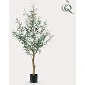 Green Boutiq Kunst Olijfboom - Olea Europaea - Olijfboom - 115 cm
