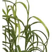 Artichok Graig Gras Kunstplant - 89 cm - Siergras - Met Pot