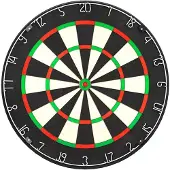Lena Professional Dartbord