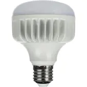 StudioKing LED Daglichtlamp 25W E27 FLED-25