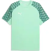 Puma LIGA26 Training Shirt