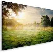 Karo-art Schilderij - Mist in het Bos, 5 maten, Premium Print