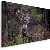 Karo-art Schilderij - Jong Hert tussen de Bosvegetatie, Premium Print