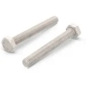 SCHMIDT'S Onlineshop Tapbout Din933 M12X30Mm RVS A4 - 50 stuks