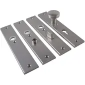 Ami Langschild 251/50/8 Profielcilinder 92 F-1 R6,5/R7,3 - 215119