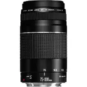 Canon EF 75-300mm f/4.0-5.6