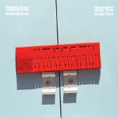 Konkurrent Ginger Root - Mahjong Room (LP)