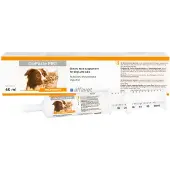 Alfavet Dia Paste PRO
