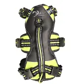 Axaeco Broad Peak Harness Maat S 48-63cm