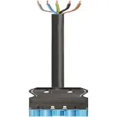 Wieland Electric 92.257.3064.9 Aansluitkabel Zwart 3 m