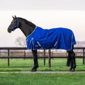 Master 1200D Outdoor Cobalt blauw 175