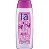 Fa Douchegel - Get Spiritual 250 ml