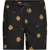 Rip Curl Sessions Zwembroek