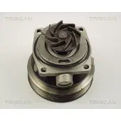 TRISCAN 8600 10006 Waterpomp