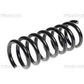 TRISCAN 8750 24152 Chassisveer