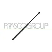 PRASCO AD0249065 Gasveer achterklep