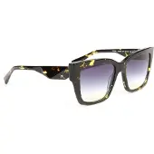 Ana Hickmann Sunglasses HI9222 G21 54