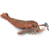 Collecta Figurine - Jaekelopterus - (Xl) - Prehistorie - Handgeschilderd - Miniatuur