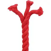 vidaXL Touw Rood 2 x 2 x 5000 cm Katoen